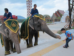 สยามนิรมิต-ภูเก็ต-การแสดง-โชว์-อาหารค่ำ-8