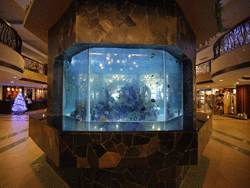 Phuket-Accommodation-Patong-Beach-Front-Graceland-Resort-11