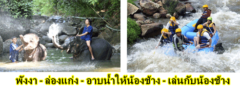 ล่องแก่ง-พังงา-อาบ-น้ำ-น้องช้าง-ทำ-อาหาร-ให้-ช้าง-E2-2