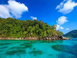 เกาะ-สุรินทร์-ทัวร์-ภูเก็ต-ราคาถูก-4