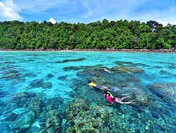 เกาะ-สุรินทร์-ทัวร์-ภูเก็ต-ราคาถูก-6