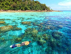 เกาะ-สุรินทร์-ทัวร์-ภูเก็ต-ราคาถูก