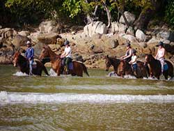 ทัวร์ภูเก็ต-ขี่ม้า-เล่นน้ำกับม้า-ริมทะเล-โรงเรียนสอนขี่ม้า-4