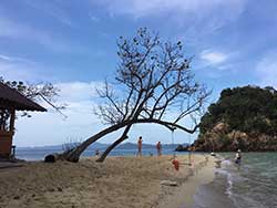 ทัวร์ครึ่งวันบ่าย-เกาะห้อง-+-เกาะนอก-พายเรือคายัค-ชมพระอาทิตย์ตก-เที่ยวกระบี่-10
