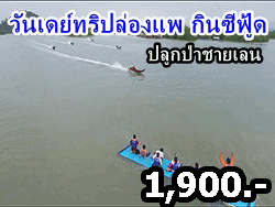 ทัวร์วันเดย์ทริป-เรียนรู้ระบบนิเวศน์-ป่าชายเลน-ล่องแพ-กินซีฟู้ด-ระนอง-11