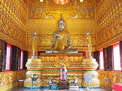 ทัวร์วันเดย์ทริป-เรียนรู้ระบบนิเวศน์-ป่าชายเลน-ล่องแพ-กินซีฟู้ด-ระนอง-7