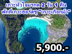 แพคเกจ-2-วัน-1-คืน-เกาะหัวใจมรกต-นอนที่-เกาะฮอร์สชู-เกาะเกือกม้า-ระนอง