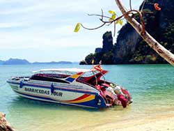 ทัวร์วันเดย์ทริป-เกาะพีพี-อ่าวมาหยา-เกาะไม้ไผ่-เรือเร็ว-เที่ยวกระบี่-ราคาถูก-4