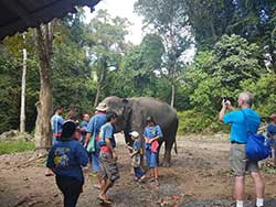 ทัวร์เรียนรู้-วิธีชีวิต-การดูแลช้าง-แคมป์ปางช้างสองแพรก-ภูเก็ต-เขาหลัก-พังงา-7
