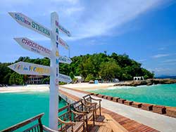 ทัวร์ล่องเรือคาตามารัน-ดูปลาโลมา-เกาะไม้ท่อน-ชมพระอาทิตย์ตกเกาะโหลน-ภูเก็ต-4