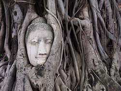 ทัวร์วันเดย์ทริป-เที่ยวอยุธยา-ล่องเรือแกรนด์เพิร์ล-กลับกรุงเทพ-เที่ยวราคาถูก-3