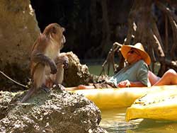 ทัวร์อ่าวพังงา-พายเรือคายัค-จอห์นเกรย์-ซีแคนู-เที่ยวภูเก็ต-ราคาถูก-15