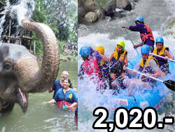 ภูเก็ต-ทัวร์-พังงา-ศึกษา-ดูแล-ช้าง-ล่องแก่ง-elephant-care-rafting