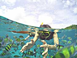 ทัวร์วันเดย์-ดูปลาโลมา-เกาะไม้ท่อน-หาดอ่าวยน-เรือคาตามารันภูเก็ต8