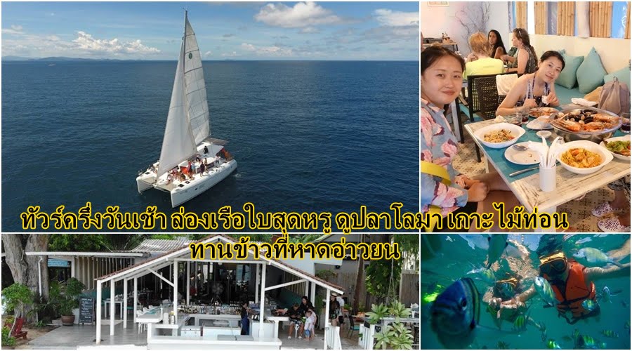 ทัวร์ครึ่งวันเช้า ล่องเรือใบสุดหรู ดูปลาโลมา เกาะไม้ท่อน