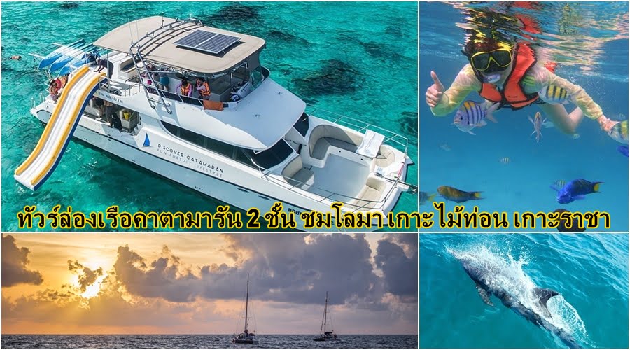 ทัวร์ล่องเรือคาตามารัน 2 ชั้น ชมโลมา เกาะไม้ท่อน เกาะราชา