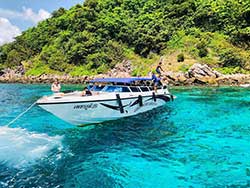 ภูเก็ต-ทัวร์เรือเร็ว-3-เกาะ-เกาะพีพี-เกาะเขียว-เกาะไข่