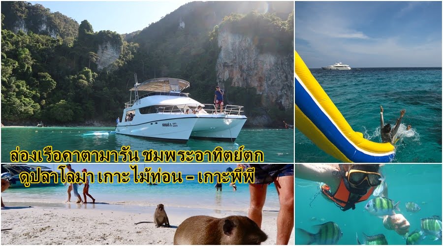 ล่องเรือคาตามารัน ดูปลาโลมา เกาะไม้ท่อน เกาะพีพี