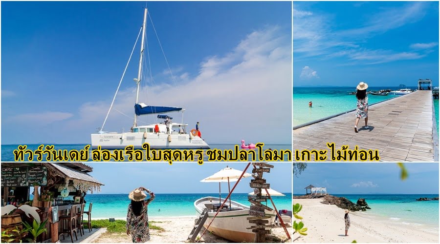 ล่องเรือใบสุดหรู ชมปลาโลมา เกาะไม้ท่อน