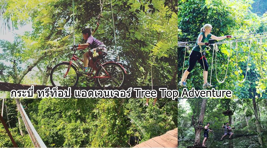 กระบี่ กิจกรรม tree top adventure
