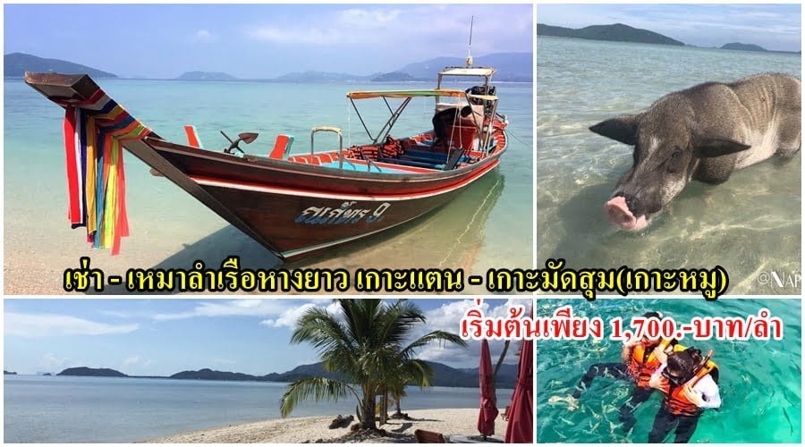 เช่า เรือหางยาว เหมาลำ ทัวร์เกาะแตน เกาะมัดสุม