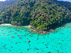 ดำน้ำ-หมู่เกาะสุรินทร์