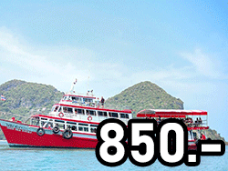 หมู่เกาะอ่างทอง-ทัวร์-วันเดย์-สมุย-เรือใหญ่
