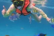 ทัวร์-ดำน้ำ-เกาะไม้ท่อน-เกาะราชาน้อย-Discover-Catamaran
