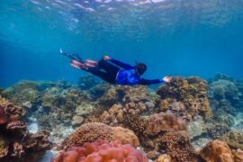เขาหลัก-ทัวร์-ภูเก็ต-ดำน้ำตื้น-หมู่เกาะสุรินทร์-เรือสปีดโบ๊ท-sea-star
