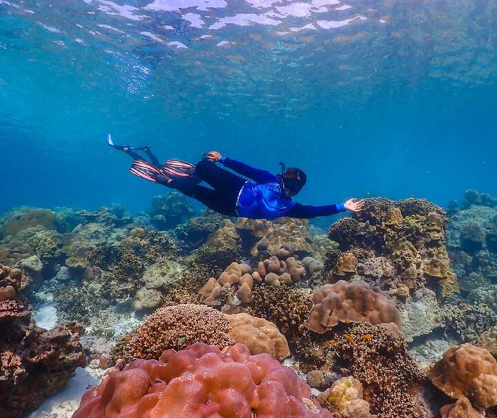 เขาหลัก-ทัวร์-ภูเก็ต-ดำน้ำตื้น-หมู่เกาะสุรินทร์-เรือสปีดโบ๊ท-sea-star
