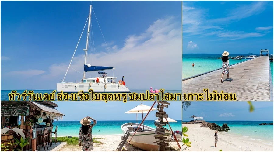 ล่องเรือใบสุดหรู ชมปลาโลมา เกาะไม้ท่อน