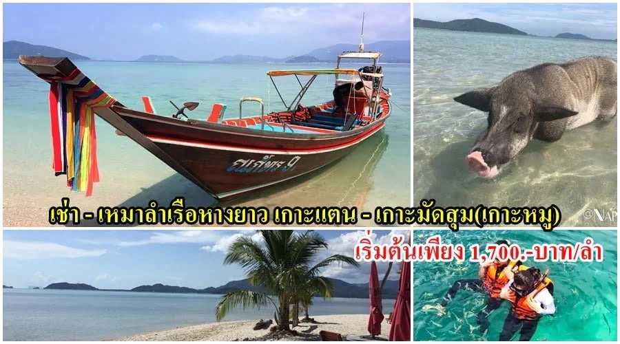 เช่า เรือหางยาว เหมาลำ ทัวร์เกาะแตน เกาะมัดสุม