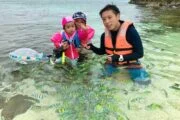ดำน้ำ-ดูปลา-เกาะไข่