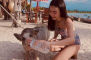 เกาะหมู-ทัวร์-เกาะมัดสุม-สมุย