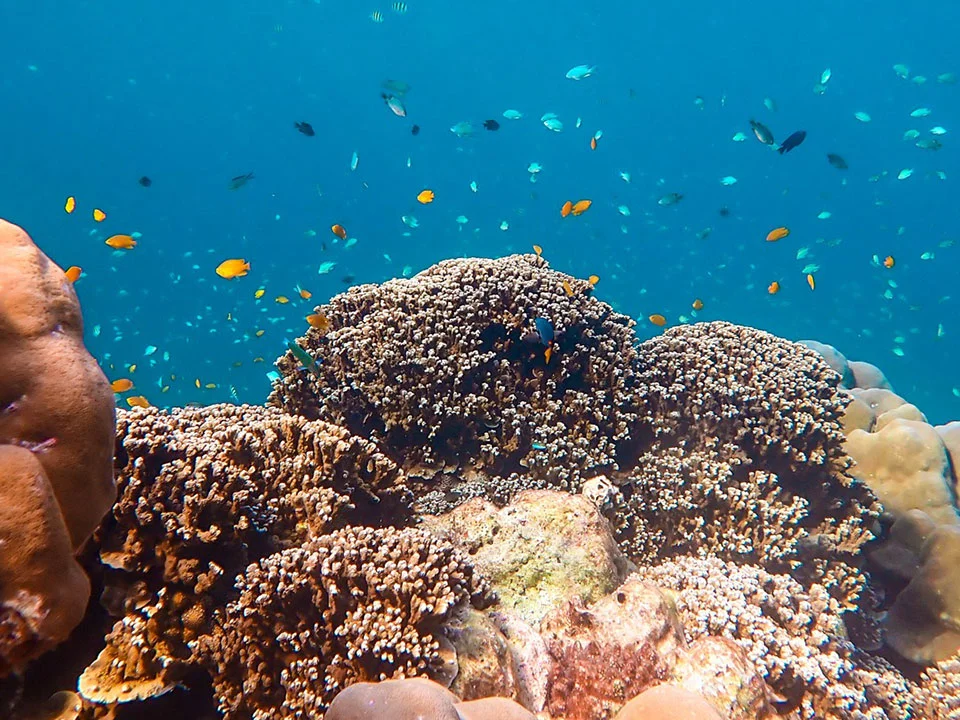 โปรแกรมทัวร์-สิมิลัน-ภูเก็ต-เขาหลัก-เรือสปีดโบ๊ท-check-in-andaman-10
