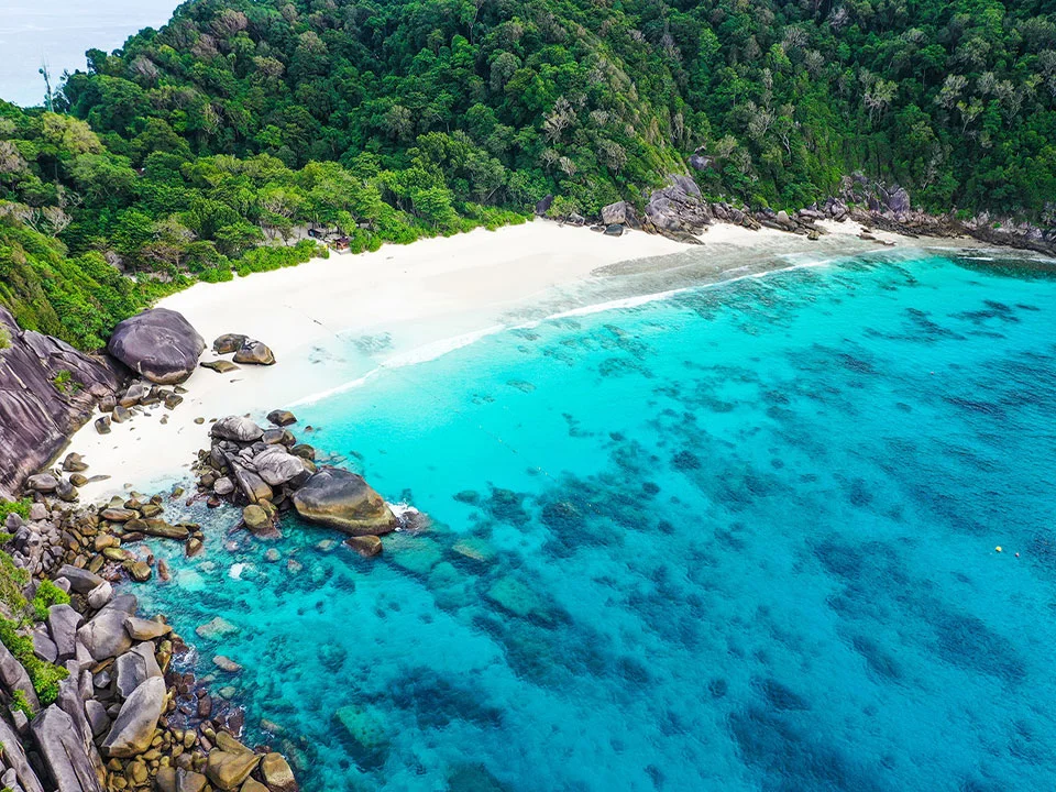 โปรแกรมทัวร์-สิมิลัน-ภูเก็ต-เขาหลัก-เรือสปีดโบ๊ท-check-in-andaman-12
