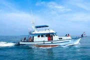 ทัวร์-จอย-เรือตกปลา-ทะเล-เกาะราชา-ภูเก็ต