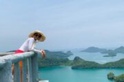 ทัวร์-จุดชมวิวหมู่เกาะอ่างทอง-สมุย-วันเดย์
