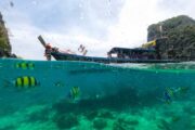 ทัวร์-ดำน้ำตื้น-ดูปะการัง-เกาะพีพี-เรือสปีดโบ๊ท