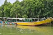 เรือหางยาว-เที่ยวอ่าวพังงา-ท่าเรือสุระกุล