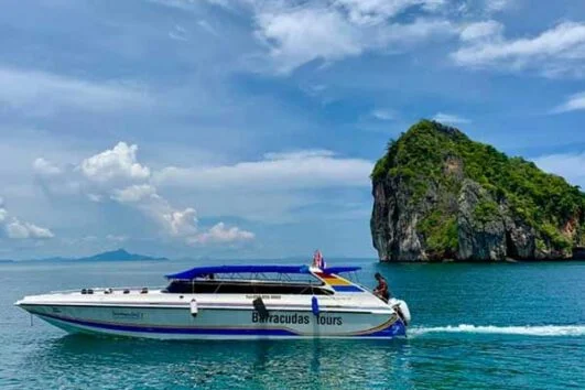กระบี่ ทัวร์เกาะพีพี อ่าวมาหยา เกาะไผ่ เรือสปีดโบ๊ท ราคาถูกที่สุด