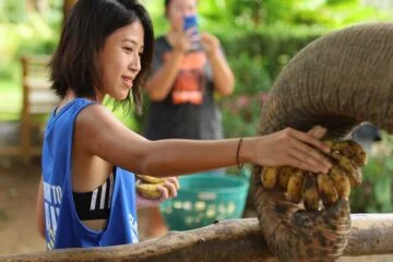 ทัวร์-แคมป์ช้าง-ครึ่งวันเช้า-บ่าย-Elephant-Jungle-Sanctuary-Phuket