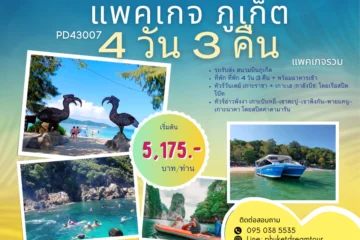 PD43007 แพคเกจ ภูเก็ต 4 วัน 3 คืน