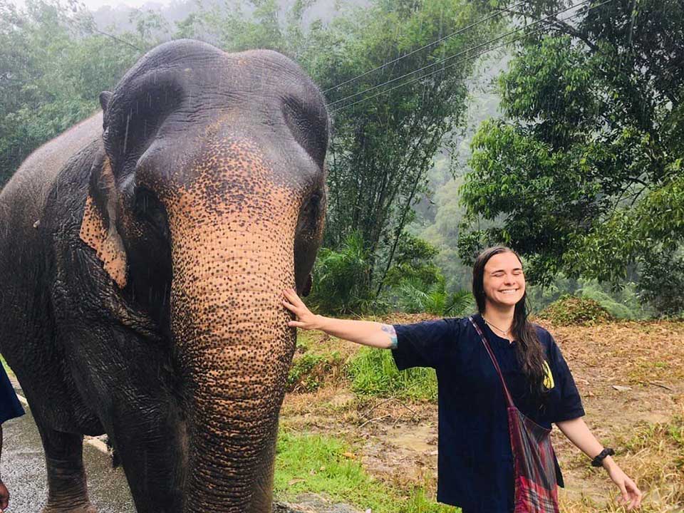 ภูเก็ต-พังงา-สองแพรก-ทัวร์ดูแลช้าง