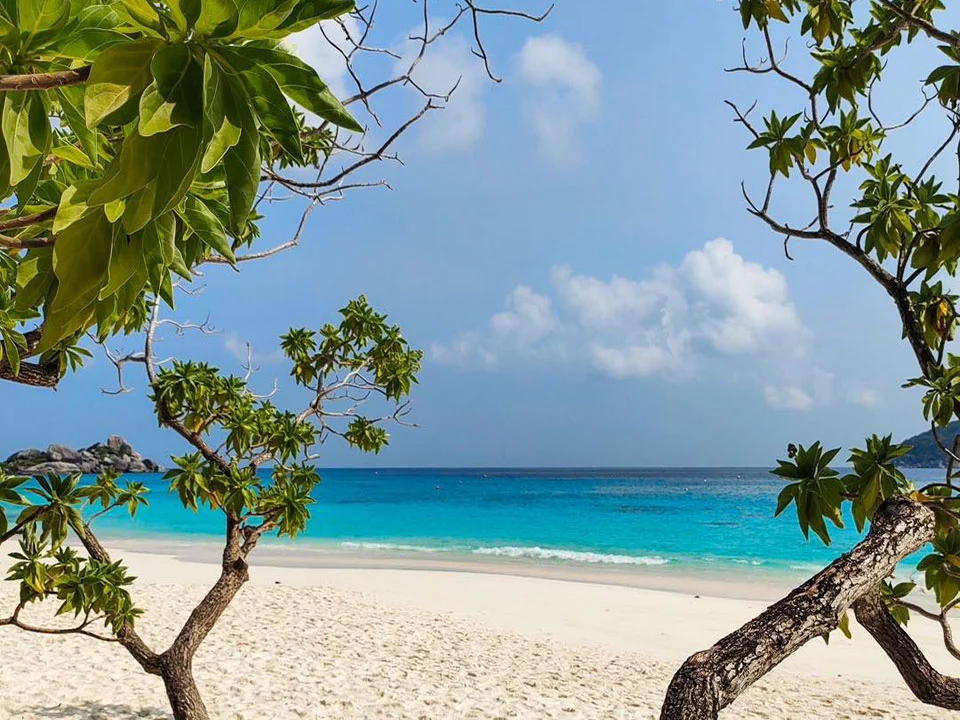 wow-andaman-ทัวร์-วันเดย์-หมู่เกาะสิมิลัน-เรือพรีเมี่ยม-สปีดโบ๊ท-ว้าว-อันดามัน-9