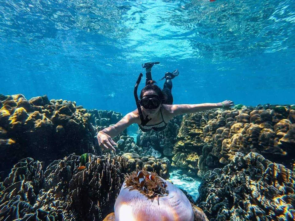 ทัวร์-ดำน้ำดูปลานีโม-เกาะรอก-เกาะห้า-เรือสปีดโบ๊ท-กระบี่-5