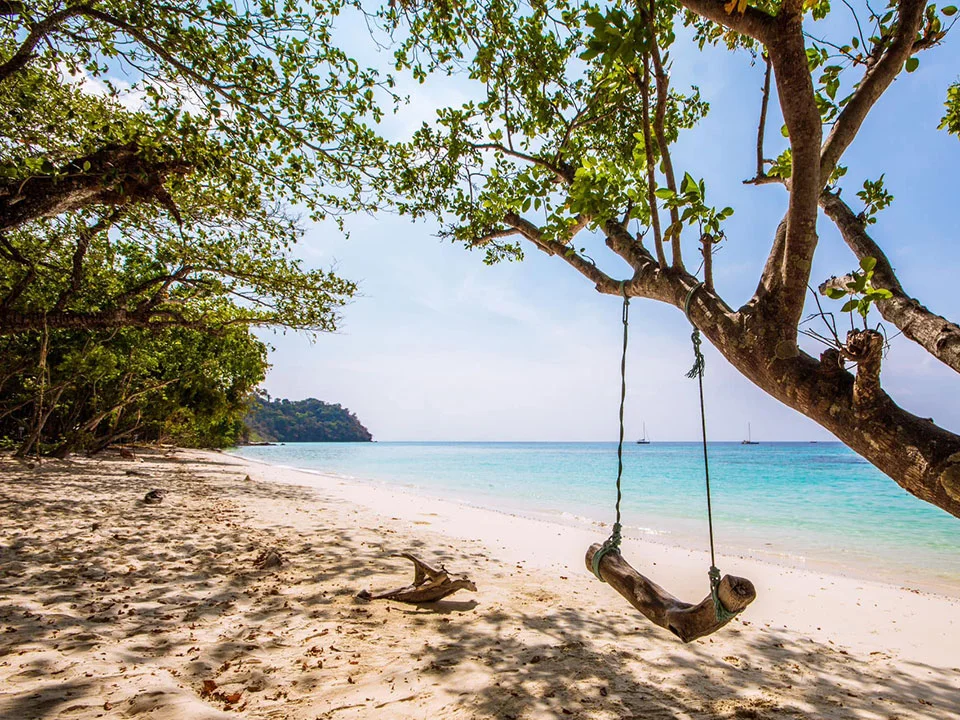ทัวร์-ดำน้ำดูปลานีโม-เกาะรอก-เกาะห้า-เรือสปีดโบ๊ท-กระบี่-6