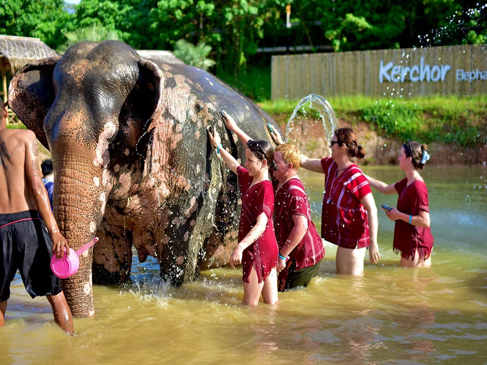 ภูเก็ตให้อาหาร-อาบน้ำช้าง-ปางช้าง-Kerchor-Elephant-Family-11