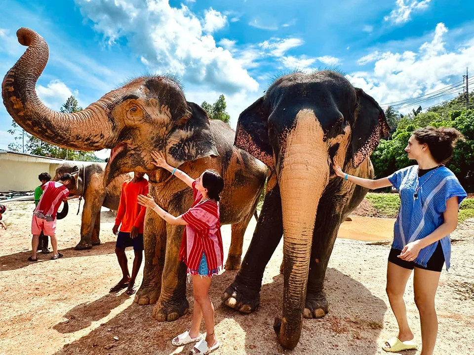 ภูเก็ตให้อาหาร-อาบน้ำช้าง-ปางช้าง-Kerchor-Elephant-Family-12
