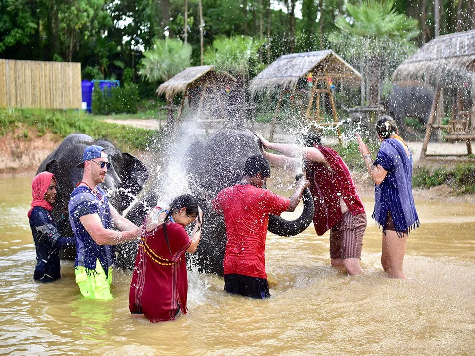 ภูเก็ตให้อาหาร-อาบน้ำช้าง-ปางช้าง-Kerchor-Elephant-Family-2